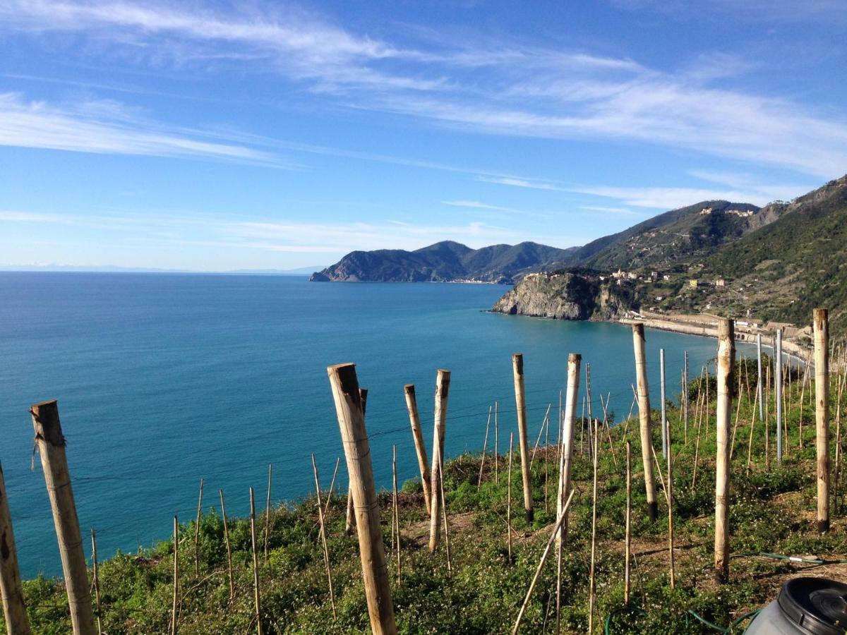 Ca' Del Monica Otel Manarola Dış mekan fotoğraf